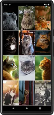 Cats Wallpapers android App screenshot 1