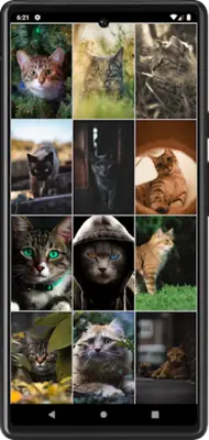 Cats Wallpapers android App screenshot 3